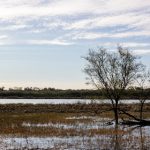 继母的朋友:禁忌之恋的韩漫世界探秘 0v6ve5196