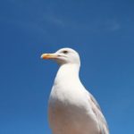 畅享无追搜索体验,快活影院带你领略无限精彩 1cux9e