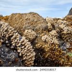 畅享无广告的神马免费电影院,尽情观影新体验 3k3d1f77k