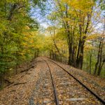 畅享无阻观看体验:真不卡影院网页版全新上线 3l8ko