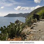 畅享无广告体验,囧次元APP全新版本上线 3oho4p1gv