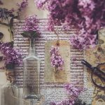 畅享无阻观影体验,真不卡影院带你飞 6hy9q9tffm