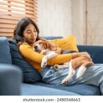 缘之空动漫在线观看:畅享青春校园爱情故事 8ck9n