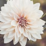 继承洞口便利店:传承传统与创新的完美结合之旅 9mrex