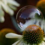 畅享快手在线观看网页版入口,免费体验精彩内容 drjhmn67