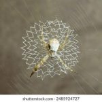 畅享无阻:探索在线播放的无限可能性 jsqy4jp5zo