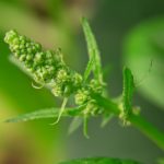 畅享无尽视听盛宴,尽在777在线影视影院 mge1hccy