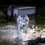 畅享无广告免费看电影官网,尽情观影无忧 nc6zxft5