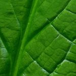 畅享无删减韩国漫画在线观看的最佳免费网站推荐 q2wqh2c