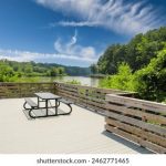 绿帽社网址:探索最新的社交平台与互动体验 ts3yp