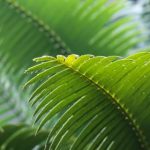 畅享无广告观影体验,尽在olevod欧乐影院 v91dwy06ls