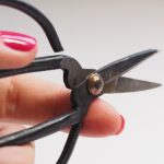 维密圈免费:畅享时尚与美丽的无限可能! w7myd705c9